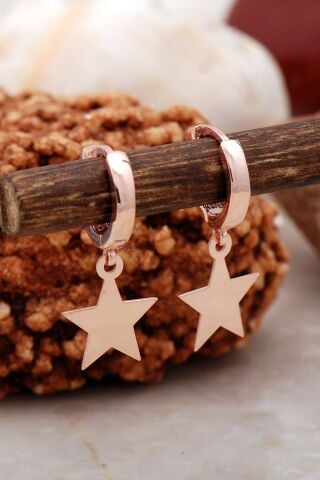 Yıldız Rose Gümüş Küpe 5421