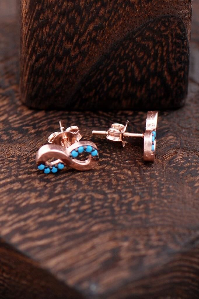 Sonsuzluk Rose Gümüş Küpe 2341