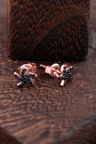 Rüzgar Gülü Tasarımlı Rose Gümüş Küpe 2430