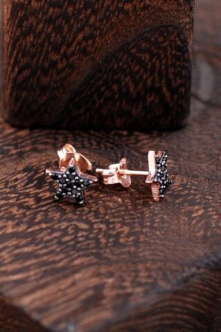 Yıldızlı Rose Gümüş Küpe 2438