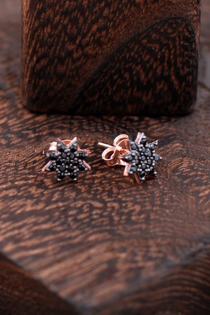 Yıldızlı Rose Gümüş Küpe 2439