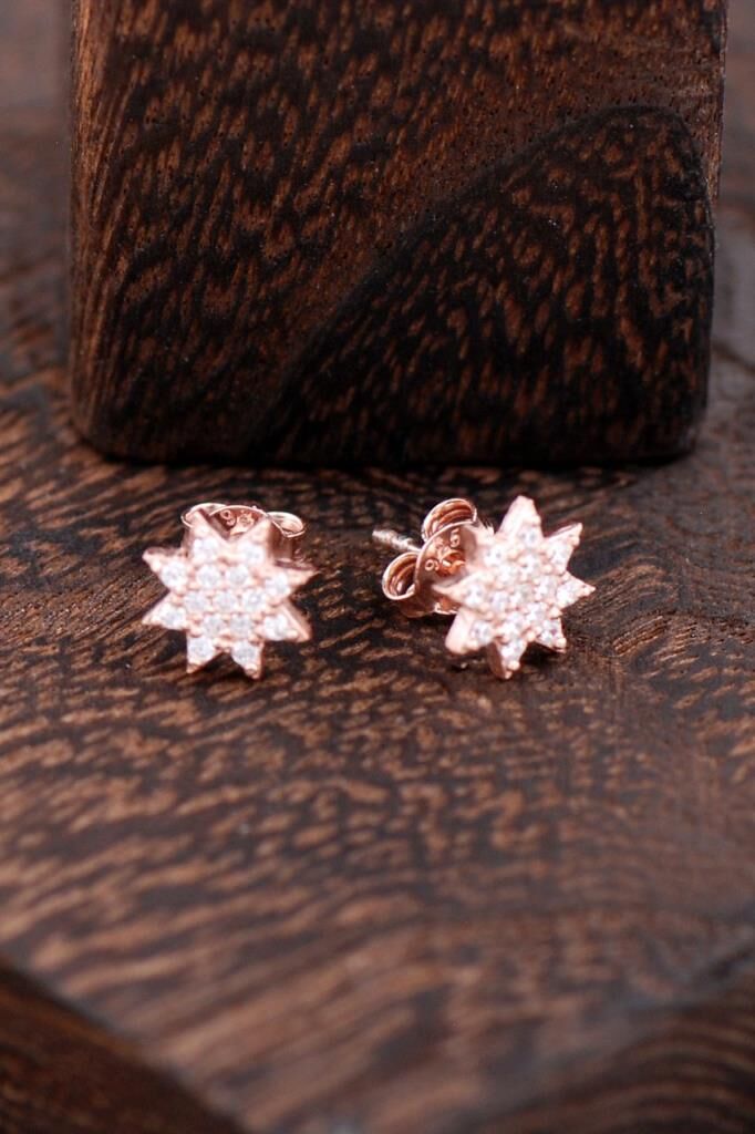 Yıldızlı Rose Gümüş Küpe 2379