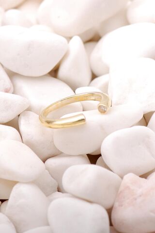 Çift Başlı Tasarım Altın Yaldızlı Gümüş Yüzük 3512