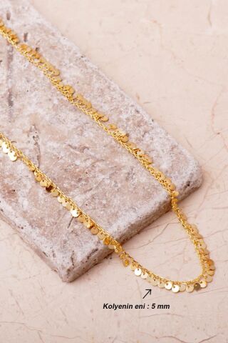 Sıralı Pullu Altın Kaplama 925 Ayar Gümüş Kolye 8106