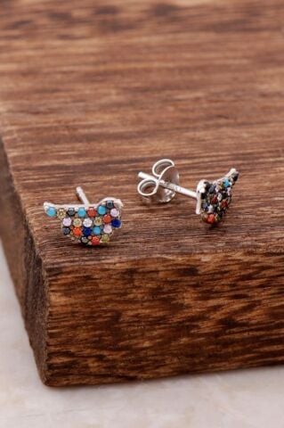 Güvercin Tasarımlı Mix Taşlı Gümüş Küpe 4019