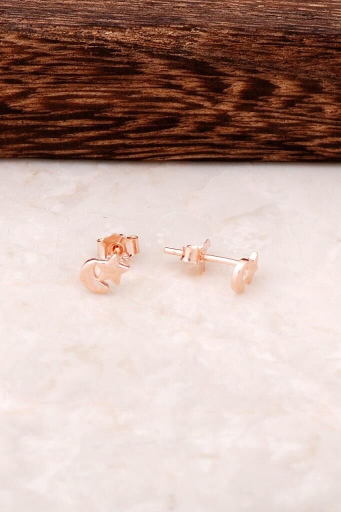 Ay Yıldız Rose Gümüş Tasarım Mini Küpe 4342