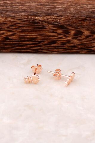 Rose Gümüş Balık Tasarım Elişi Mini Küpe 4345