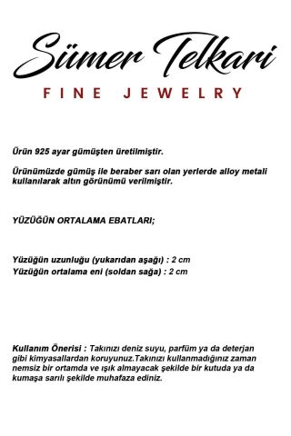 2 Farklı Doğal Taş Seçenekli Elişi 925 Ayar Gümüş Yüzük 6002 19 - Kök Yakut Taşı (Bordo)