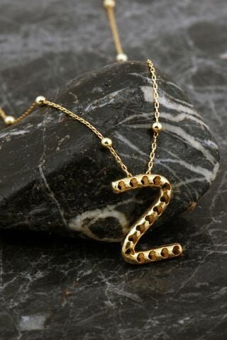 Kalpli Altın Kaplama Z Harf Gümüş Balon Kolye 8062