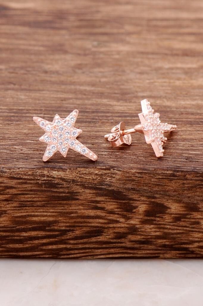 Kuzey Yıldızı Tasarımlı Rose Gümüş Küpe 3754