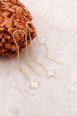 Kutup Yıldızı Altın Yaldızlı Gümüş Küpe 5186