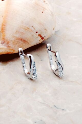 Sıra Taşlı Rodyumlu Gümüş Küpe 5233