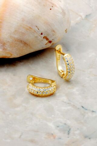 Taşlı Altın Yaldızlı Gümüş Küpe 5254