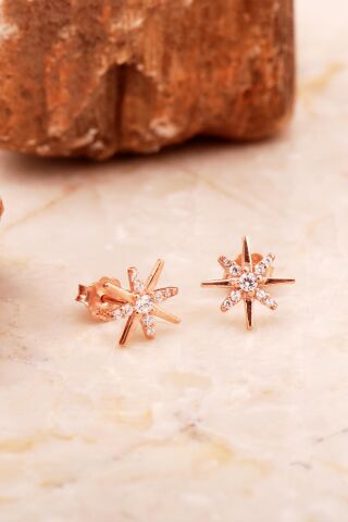 Kutup Yıldızı Mini Rose Gümüş Küpe 6919