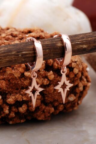 Kutup Yıldızı Rose Gümüş Küpe 5408