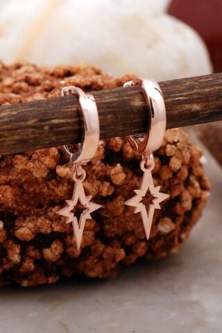 Kutup Yıldızı Rose Gümüş Küpe 5408