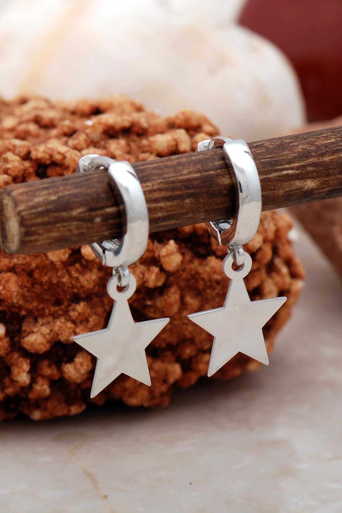 Yıldız Rodyumlu Gümüş Küpe 5420